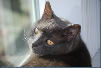 Copy (2) of DSC_0049