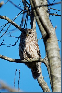 DSC_0047B2BB DSC_0047B2BB