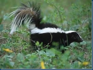 th0BL2866S th0BL2866S