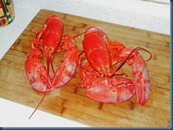 DSCN0091BB DSCN0091BB