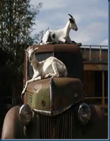 thUD6JNNBB thUD6JNNBB